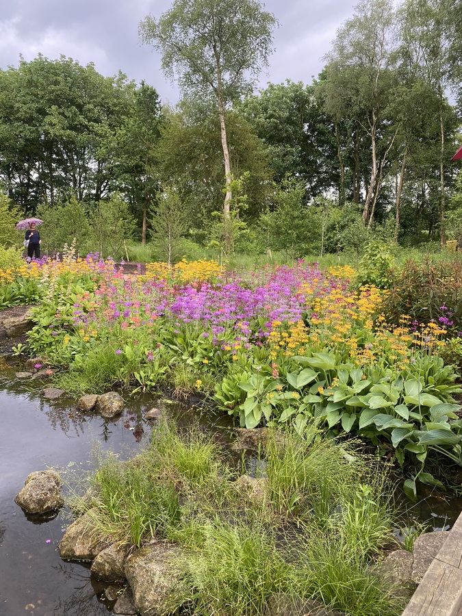 Chinese streamside garden (B)